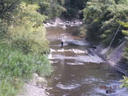 大井川(大井川(非)漁業協同組合) 釣果