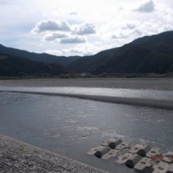 大井川(大井川(非)漁業協同組合) 釣果