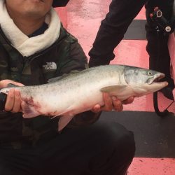 第八平成丸 釣果