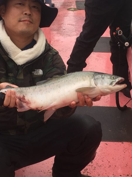 第八平成丸 釣果