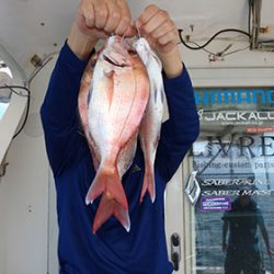 松本釣船２ 釣果