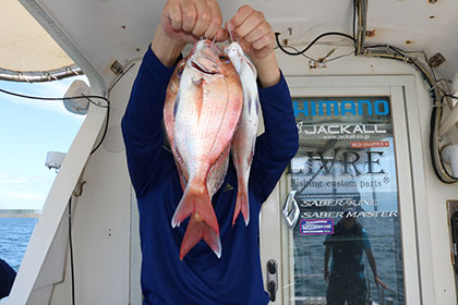 松本釣船２ 釣果