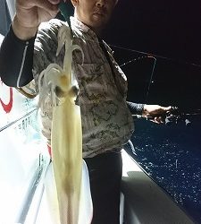 海龍丸（福岡） 釣果