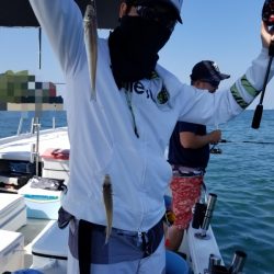 オーフリー 釣果