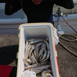 オーフリー 釣果