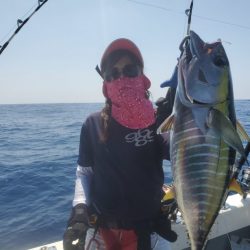 ブルーピア 釣果