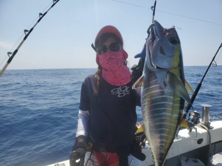 ブルーピア 釣果