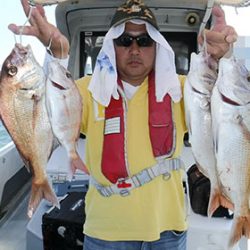 松本釣船２ 釣果