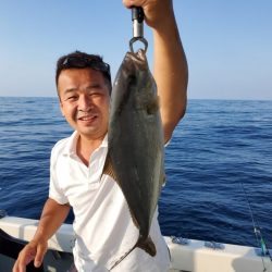 ブルーピア 釣果