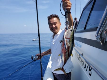 ブルーピア 釣果