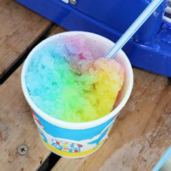 松本釣船2 釣果