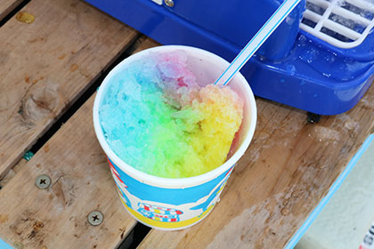 松本釣船2 釣果