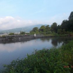 大井川(大井川(非)漁業協同組合) 釣果