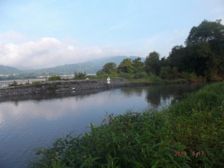 大井川(大井川(非)漁業協同組合) 釣果