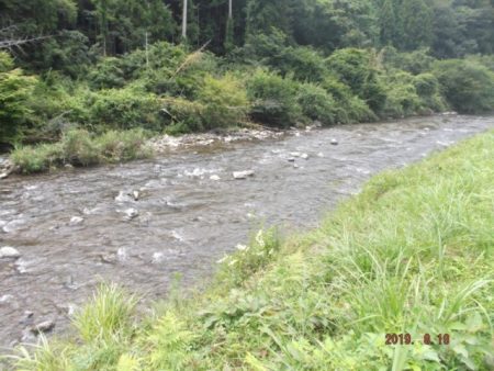 大井川（大井川(非)漁業協同組合） 釣果