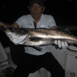 ルアー船マヒマヒ 釣果