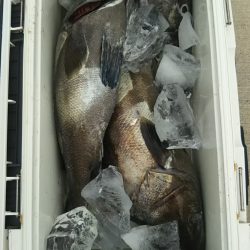 モンロー号 釣果