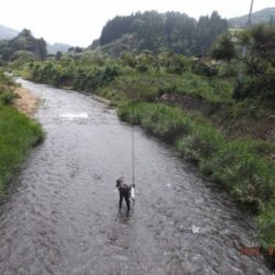 大井川（大井川(非)漁業協同組合） 釣果