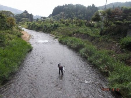 大井川（大井川(非)漁業協同組合） 釣果