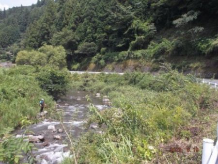 大井川（大井川(非)漁業協同組合） 釣果