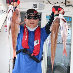 松本釣船２ 釣果