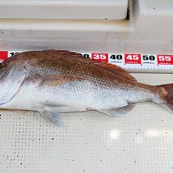 松本釣船２ 釣果