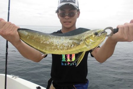 ルアー船マヒマヒ 釣果