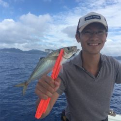 マタウマリンサービス 釣果