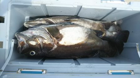 モンロー号 釣果