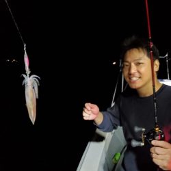 ブルーピア 釣果