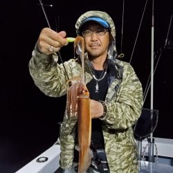 ブルーピア 釣果