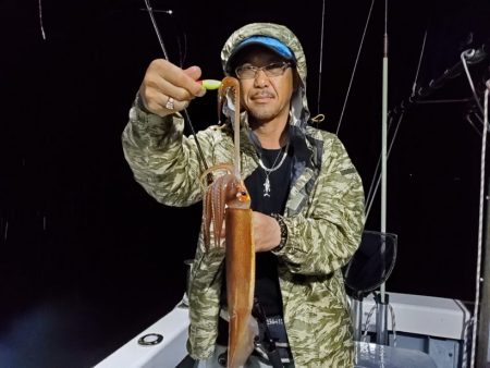 ブルーピア 釣果