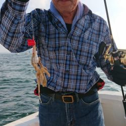 オーフリー 釣果