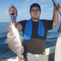 ブルーピア 釣果