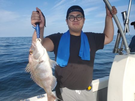 ブルーピア 釣果