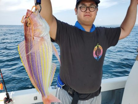 ブルーピア 釣果