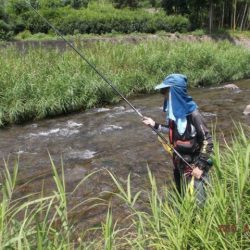 大井川（大井川(非)漁業協同組合） 釣果