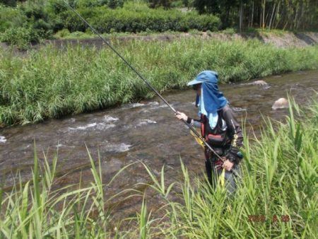 大井川（大井川(非)漁業協同組合） 釣果