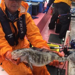 第八平成丸 釣果