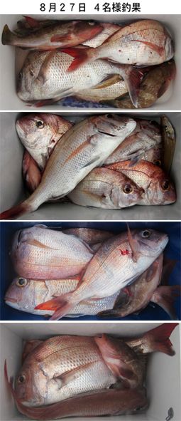 来温丸（らいおんまる） 釣果