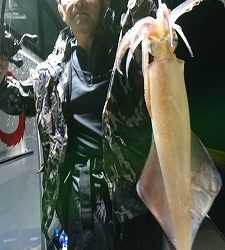 海龍丸（福岡） 釣果