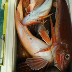 モンロー号 釣果