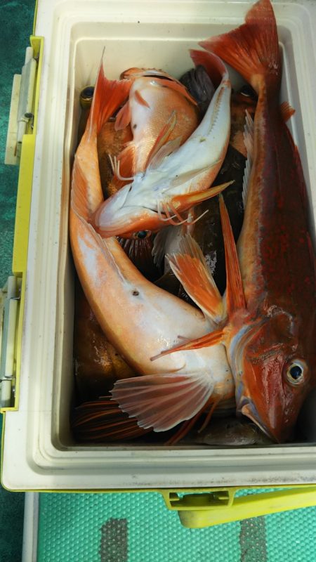 モンロー号 釣果