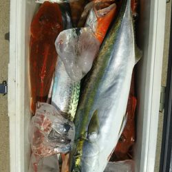 モンロー号 釣果