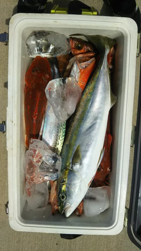 モンロー号 釣果