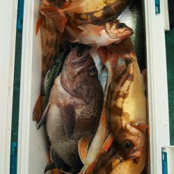 モンロー号 釣果