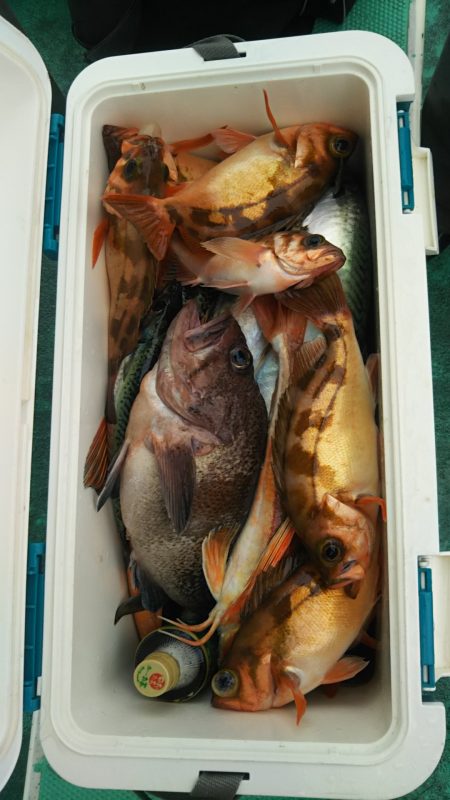 モンロー号 釣果