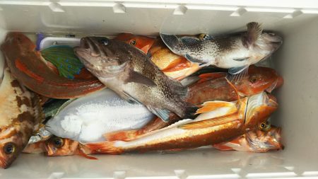 モンロー号 釣果