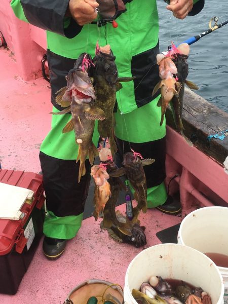 第八平成丸 釣果