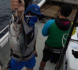 翔英丸 釣果